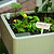 EZCube Self-Watering Planter 21" x 24"