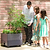 EZCube Self-Watering Planter 21" x 24"