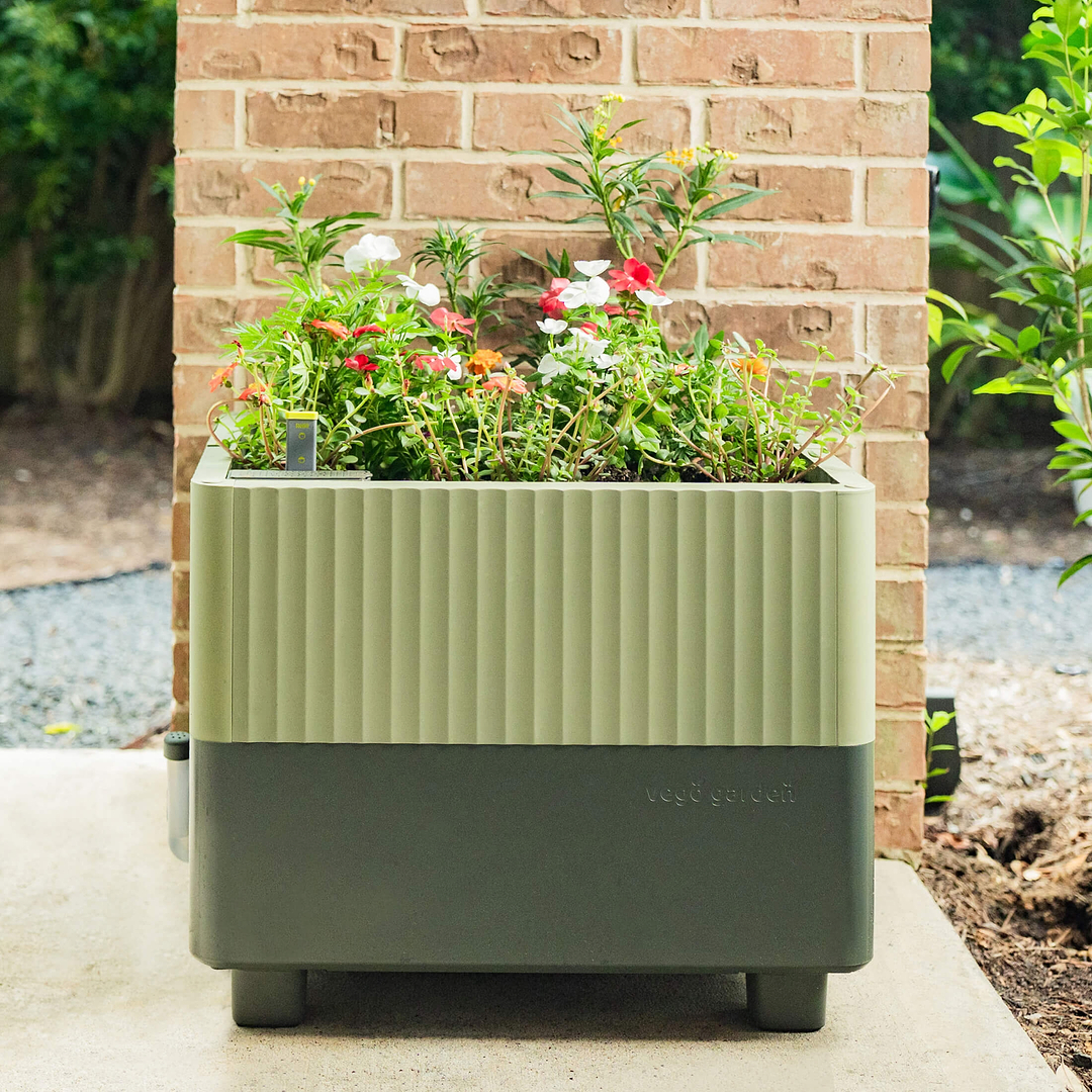 EZCube Self-Watering Planter 21