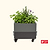 EZCube Self-Watering Rolling Planter 21” x 24”