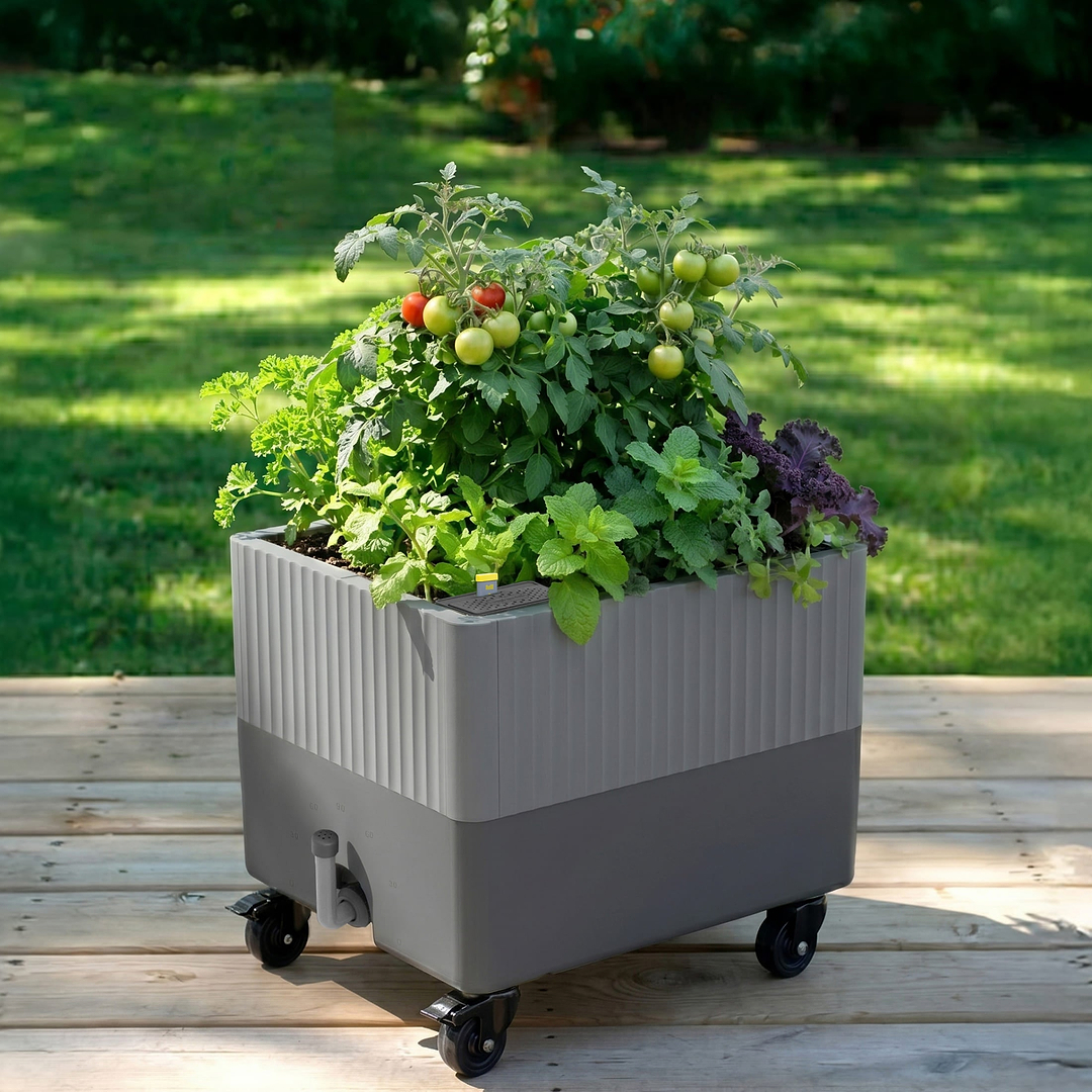 self watering garden planter EZCube Self-Watering Rolling Planter | Indoor Garden