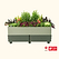 EZCube Self-Watering Planter 21" x 48"