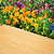 EverGrove Raised Garden Bed 4&