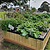 Foodcube™  Slim - The Next Generation of Self Watering Raised Garden