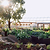 Foodcube™  Slim - The Next Generation of Self Watering Raised Garden