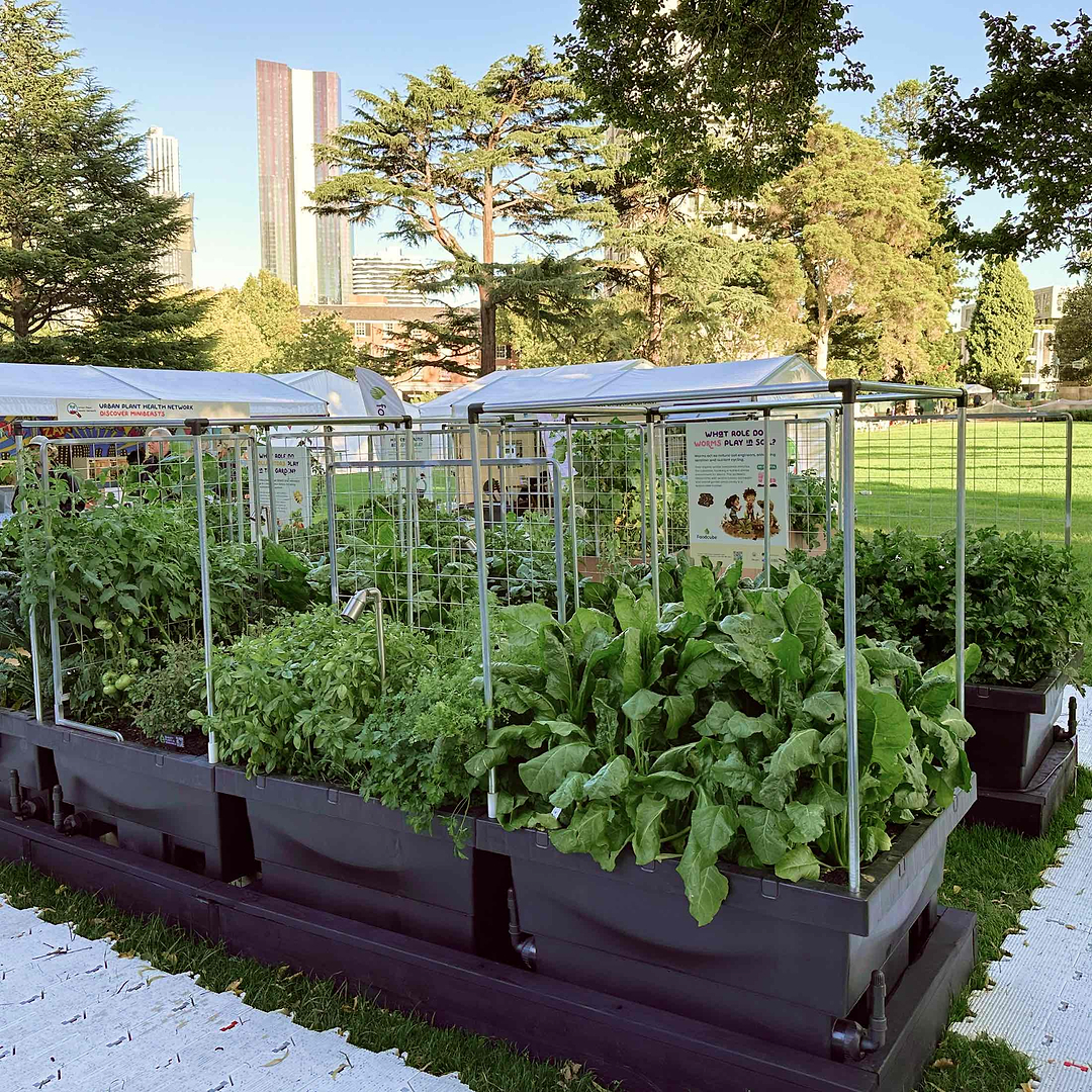 Foodcube Wall Trellis | Vego Garden