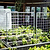 Vego Garden Foodcube Wall Trellis