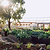 Vego Garden Foodcube Wall Trellis