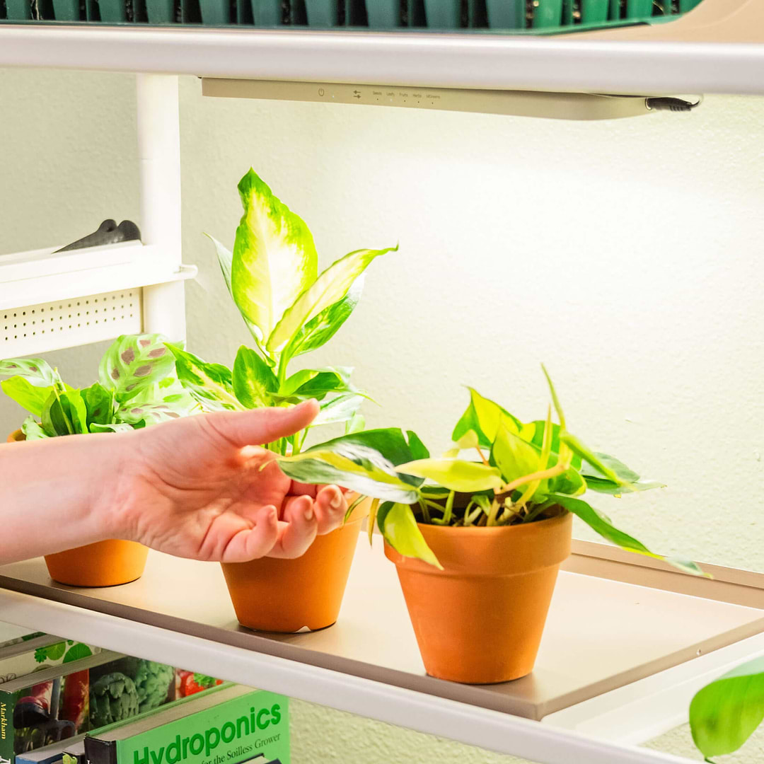 best indoor plant kits Grow Light Garden Conversion kit