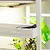 Grow Light Garden Tool Caddy -2 Pack | Vego Garden
