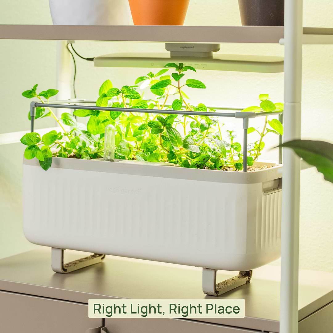 plant indoor grow light Vego Grow Light – Full-Spectrum LED for Thriving Indoor Gardens