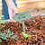 Magnetic Plant Tag | Vego Garden