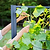 Vego Modern Privacy Trellis | Vego Garden