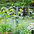 Vego Modern Privacy Trellis | Vego Garden