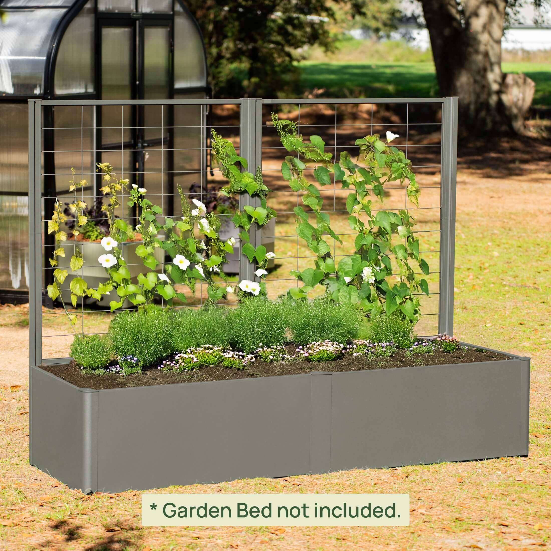 privacy trellis above 6 foot fence for plants Vego Modern Privacy Trellis