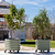 Self-watering Rolling Citrus Tree Planter