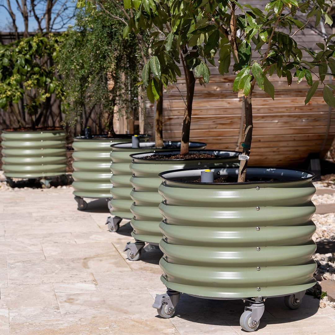 rolling self-watering tomato planter and rust-resistant tower Self-Watering Rolling Citrus Tree Planter 30 Gallon