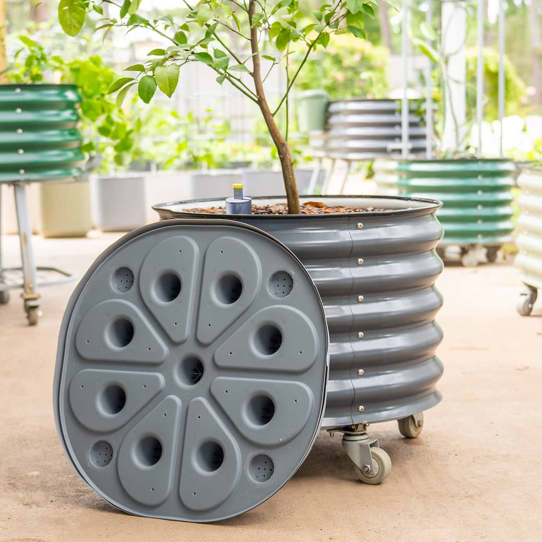 rolling seed planter Self-Watering Rolling Citrus Tree Planter 30 Gallon