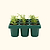 Giga Seedling Tray | Vego Garden