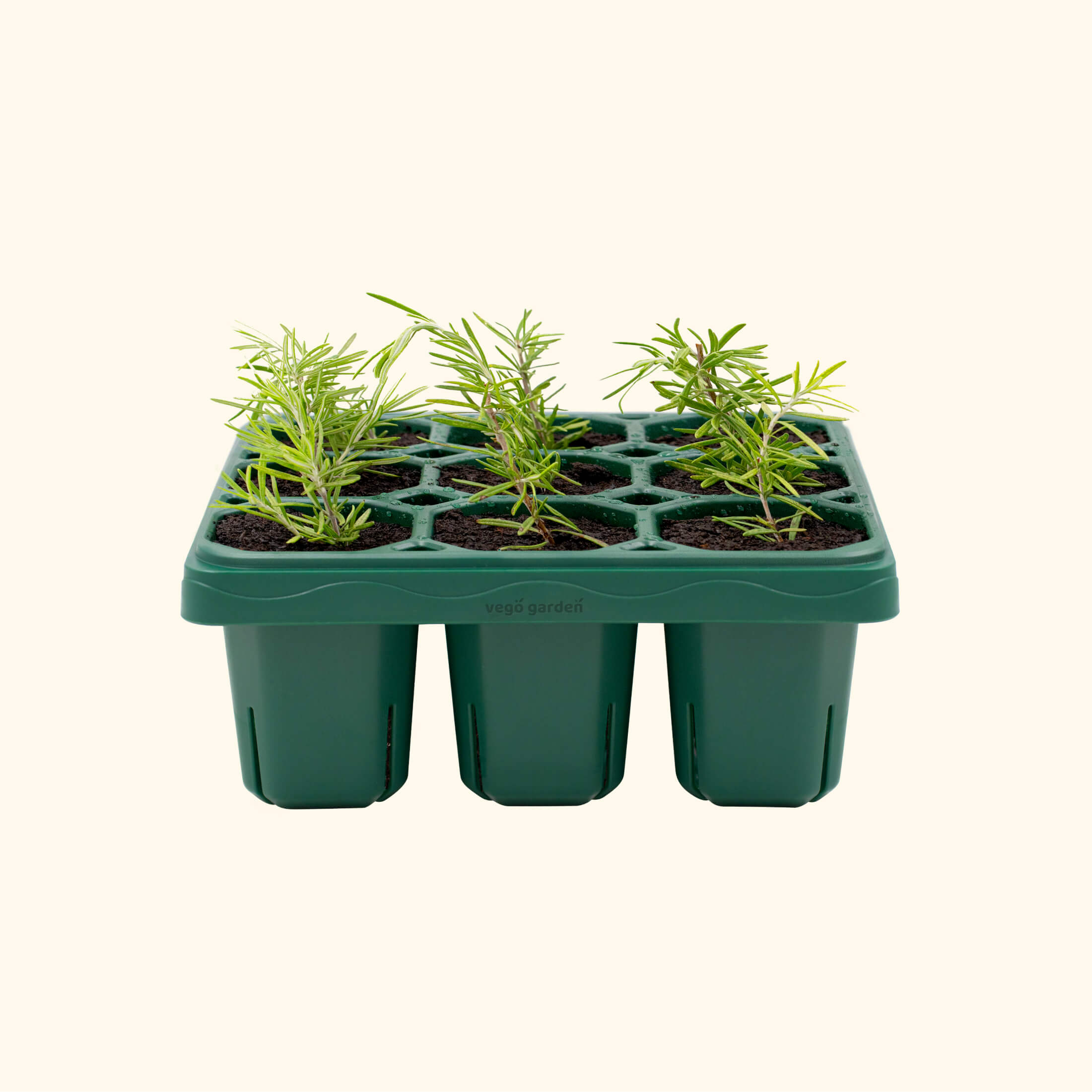 Giga Seedling Tray | Vego Garden