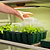Vego Garden | Seedling Tray Drip Irrigation Lid