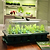 Giga Seedling Tray | Vego Garden