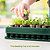 3-In-1 Plant &