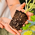 Giga Seedling Tray - 10" x 10"