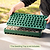 3-In-1 Plant &