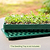 3-In-1 Plant &