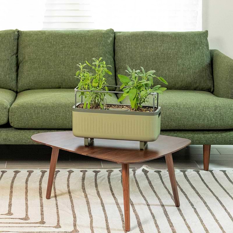 vego-garden-Self-Watering-Herb-Planter-Box-with-Trellis