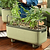 vego-garden-Self-Watering-Herb-Planter-Box-with-Trellis