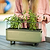 vego-garden-Self-Watering-Herb-PlanterBox-with-Trellis-lifestyle