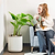 EZ Home Planter | Vego Garden