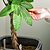 EZ Home Planter | Vego Garden