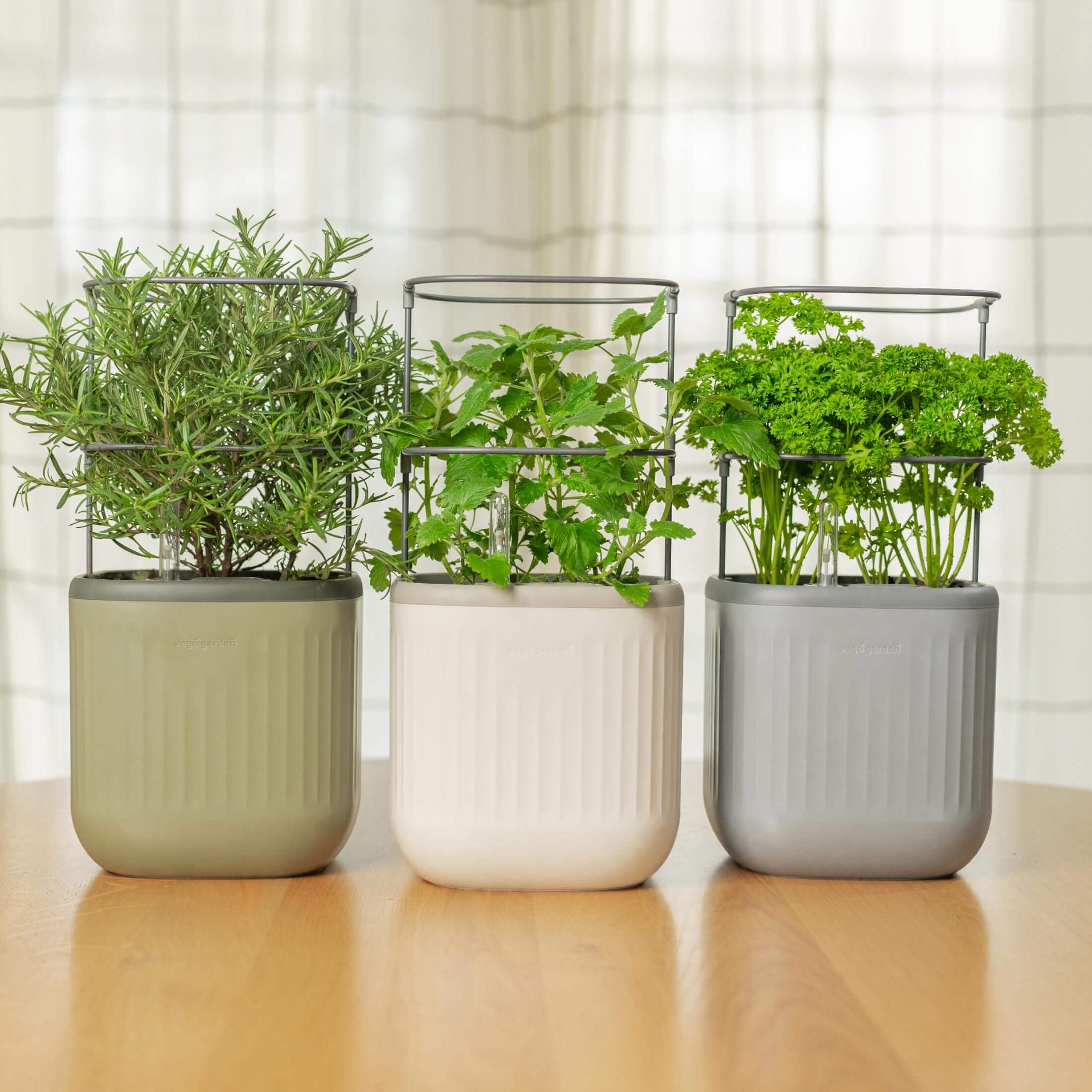 Self-Watering Mini Planter Pot with Trellis ｜ Vego Garden