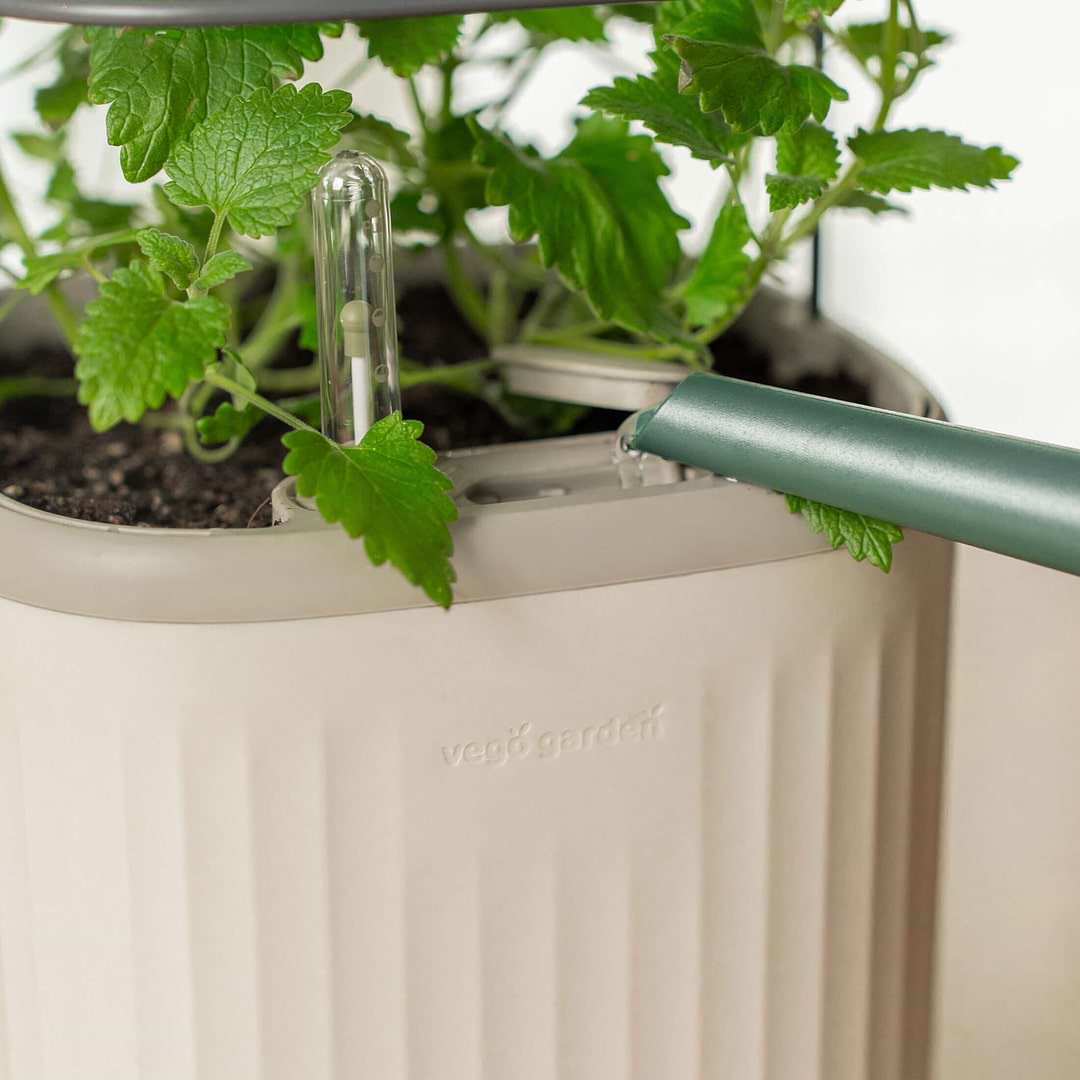 planter pot with trellis EZ Self-Watering Mini Planter Pot with Trellis