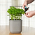 vego-garden-Self-Watering-Mini-Planter-Pot-with-Trellis
