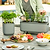 vego-garden-Self-Watering-Mini-Planter-Pot-with-Trellis