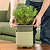vego-garden-Self-Watering-Mini-Planter-Pot-with-Trellis