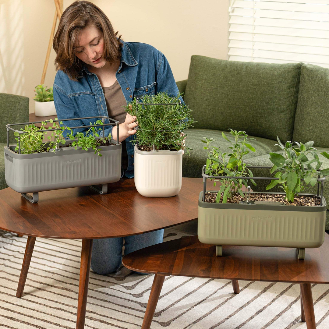 enjoy planters Self-Watering Mini Planter Pot with Trellis ｜ Vego Garden