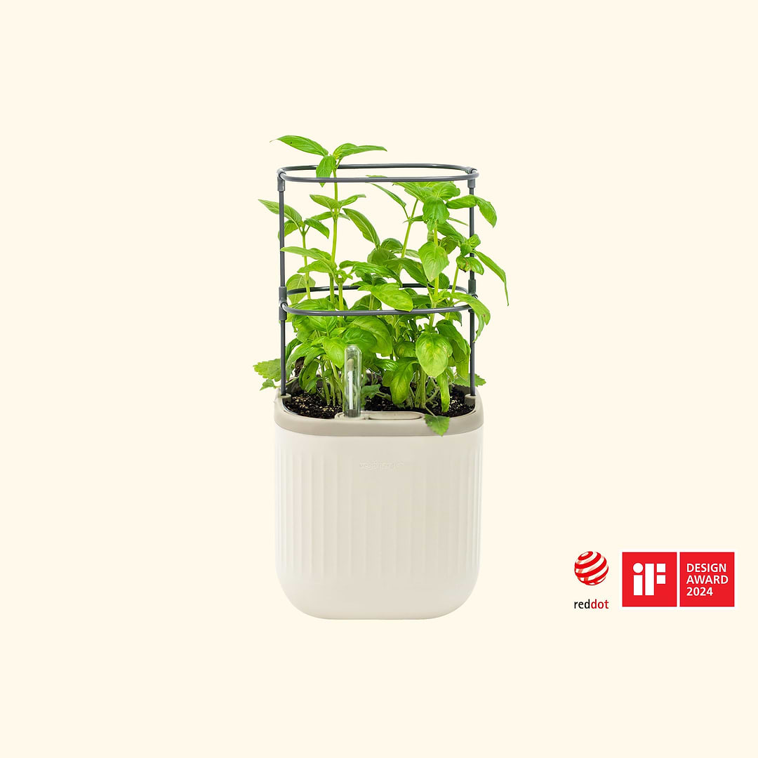 mini planting pots Self-Watering Mini Planter Pot with Trellis