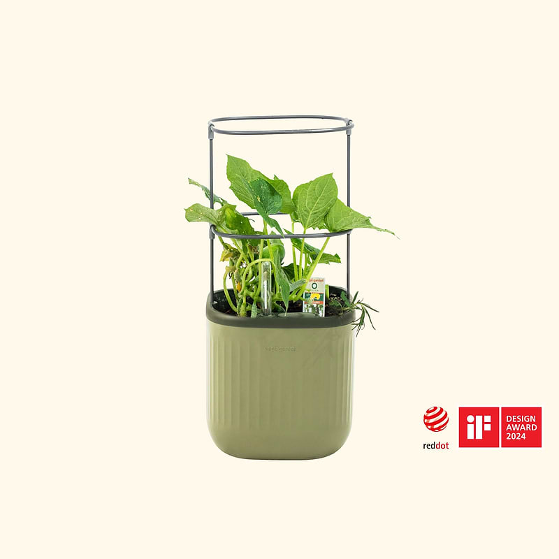 green planter pot Self-Watering Mini Planter Pot with Trellis