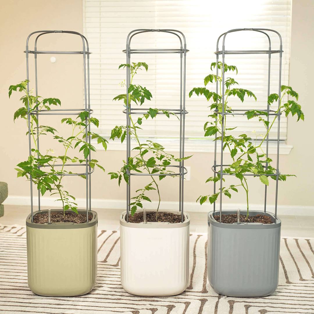 Vego Garden Herb Planter Box With Trellis Self-Watering Raised Garden