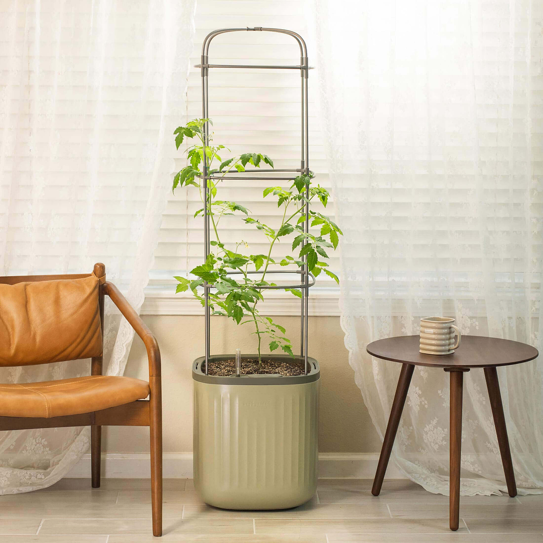 rolling self-watering tomato planter with metal trellis Self-Watering Rolling Tomato Planter with Trellis–Vego Garden, Fog Gray