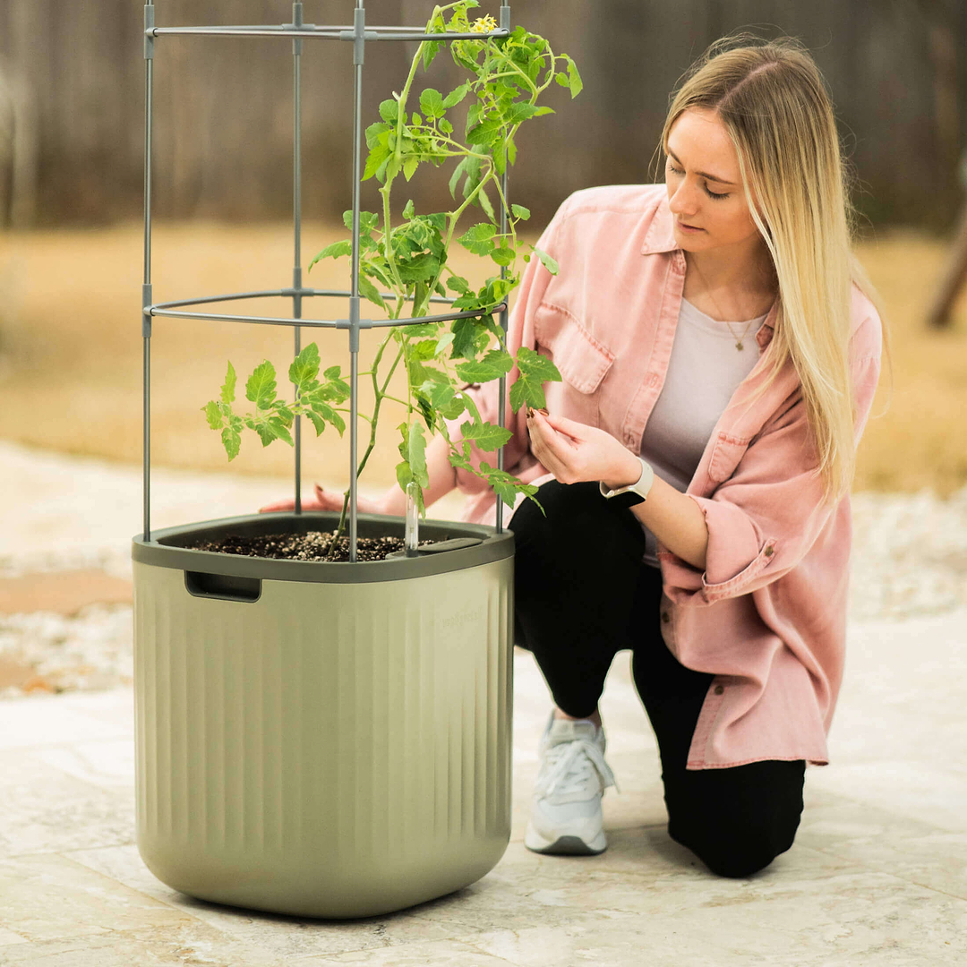 Self-Watering Rolling Tomato Planter with Trellis–Vego Garden