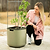 vego-garden-Self-WateringRollingTomatoPlanterPotwithTrellis