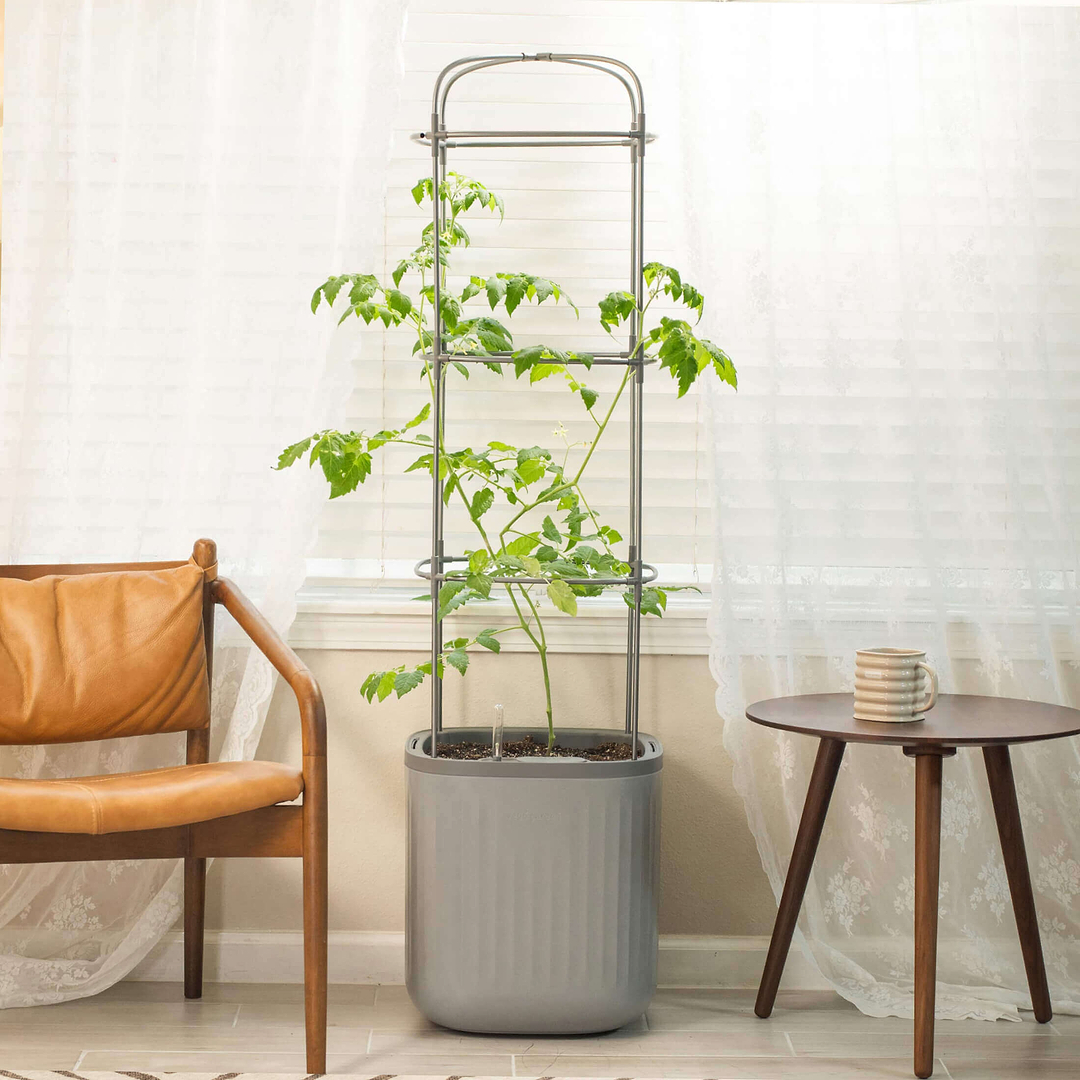 Self-Watering Rolling Tomato Planter with TrellisVego Garden, Fog Gray