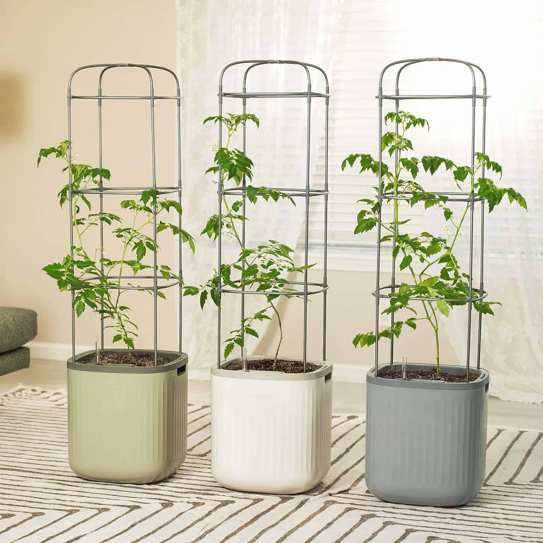 vego self watering rolling planter Self-Watering Rolling Tomato Planter with Trellis–Vego Garden