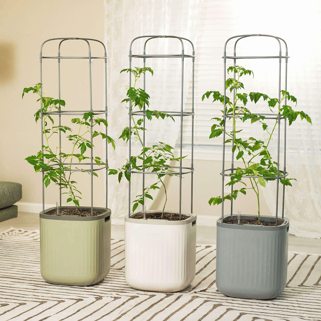 Self-Watering Rolling Tomato Planter with Trellis–Vego Garden